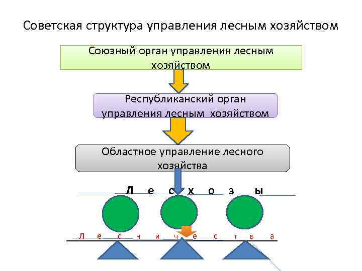 Советская структура управления лесным хозяйством Союзный орган управления лесным хозяйством Республиканский орган управления лесным