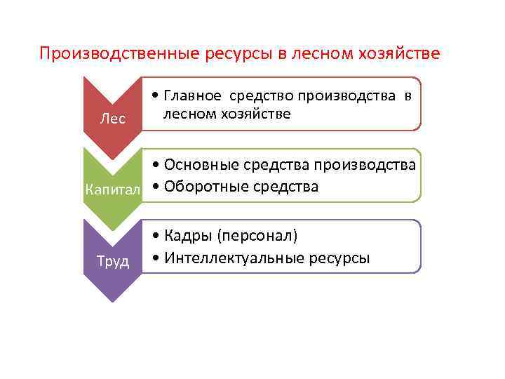 Производственные ресурсы в лесном хозяйстве • Главное средство производства в Лес лесном хозяйстве •