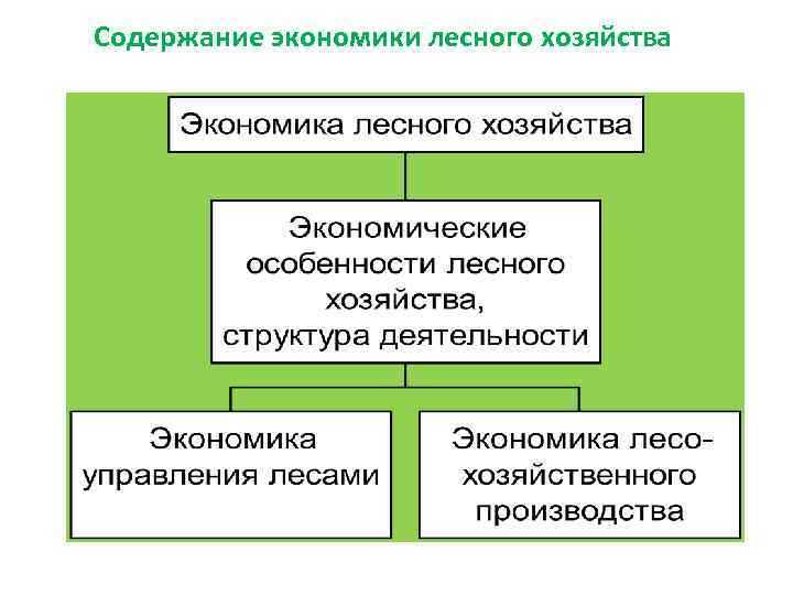 Лесное хозяйство 8 класс презентация