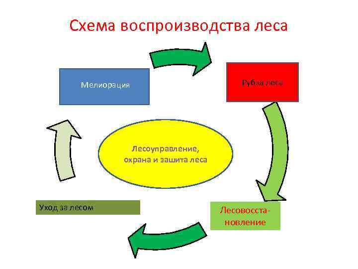 Охрана леса схема