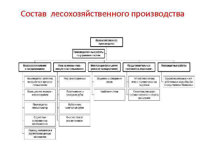 Состав лесохозяйственного производства 
