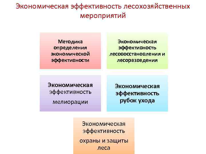 Экономическая эффективность лесохозяйственных   мероприятий   Методика  Экономическая  определения 