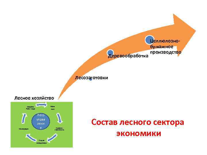         Целлюлозно-     