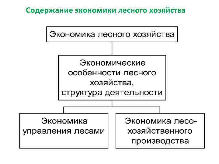 Содержание экономики лесного хозяйства 
