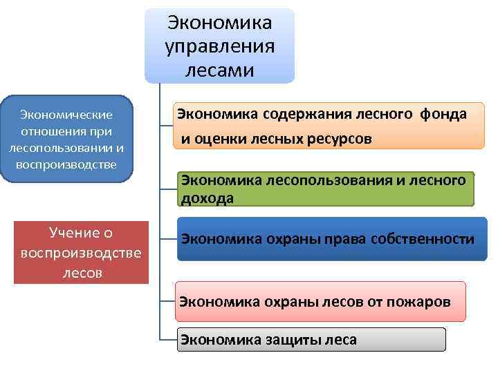      Экономика    управления    