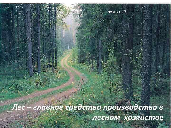     Лекция 12 Лес – главное средство производства в  