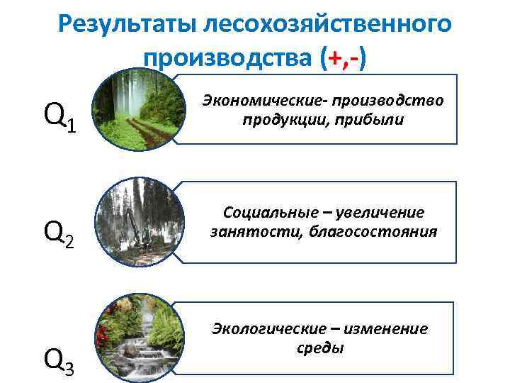 Результаты лесохозяйственного  производства (+, -)  Экономические- производство Q 1  продукции, прибыли