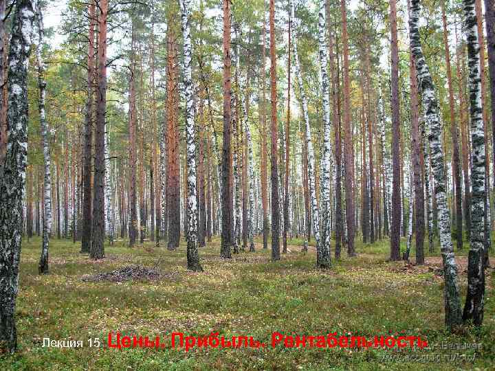 Лекция 15  Цены. Прибыль. Рентабельность 