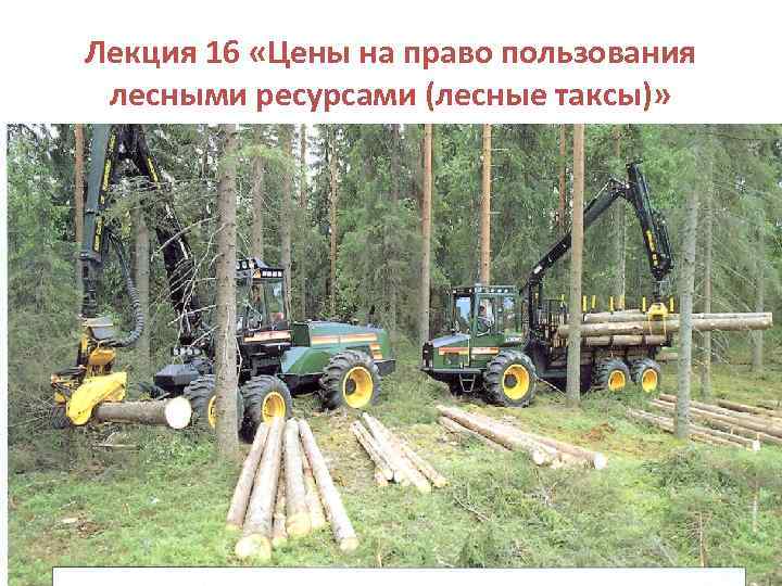 Лекция 16 «Цены на право пользования  лесными ресурсами (лесные таксы)» 
