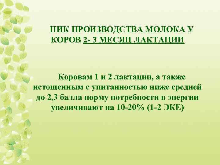  ПИК ПРОИЗВОДСТВА МОЛОКА У КОРОВ 2 - 3 МЕСЯЦ ЛАКТАЦИИ Коровам 1 и