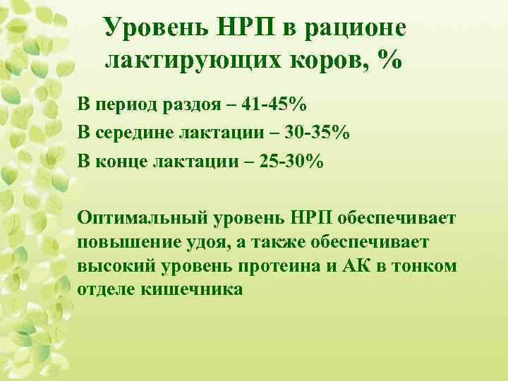  Уровень НРП в рационе лактирующих коров, % В период раздоя – 41 -45%