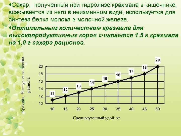 ·Сахар, полученный при гидролизе крахмала в кишечнике, всасывается из него в неизменном виде, используется