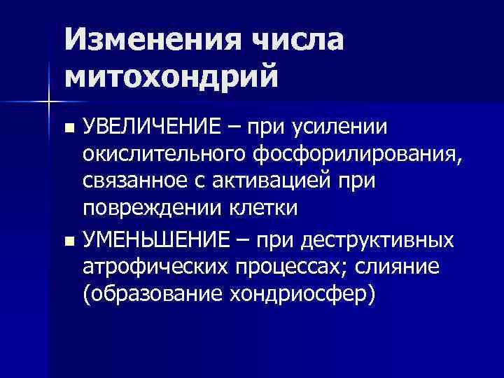 Изменения числа митохондрий n УВЕЛИЧЕНИЕ – при усилении окислительного фосфорилирования, связанное с активацией при