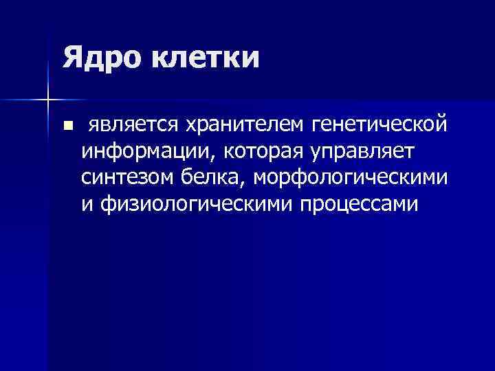 Ядро клетки n является хранителем генетической информации, которая управляет синтезом белка, морфологическими и физиологическими