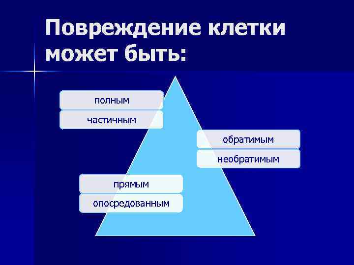 Повреждение клетки может быть: полным частичным обратимым необратимым прямым опосредованным 