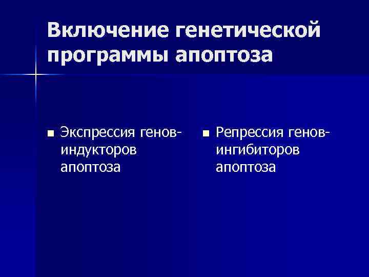 Включение генетической программы апоптоза n Экспрессия генов- n Репрессия генов- индукторов ингибиторов апоптоза апоптоза