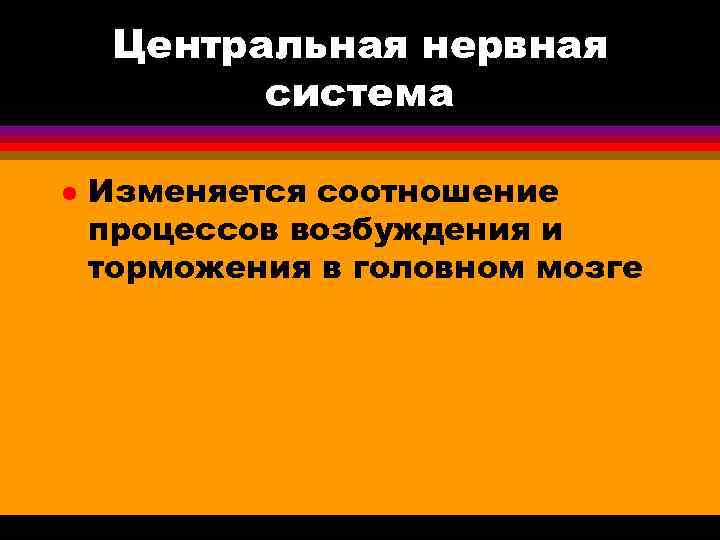  Центральная нервная система l Изменяется соотношение процессов возбуждения и торможения в головном мозге