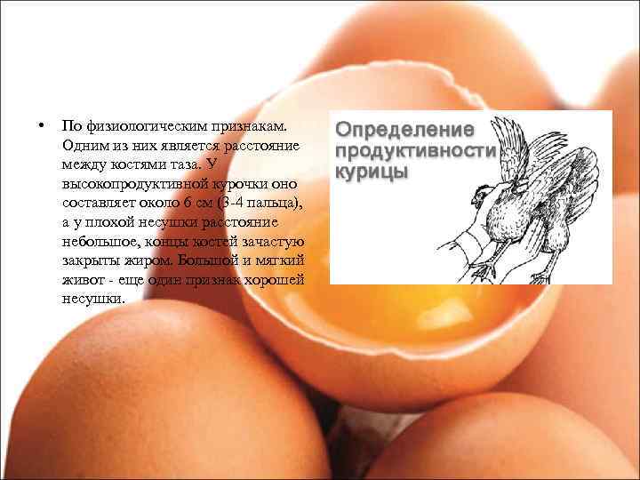  • По физиологическим признакам. Одним из них является расстояние между костями таза. У