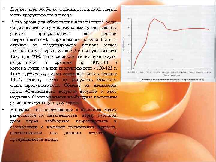  • Для несушек особенно сложными являются начало и пик продуктивного периода. • В