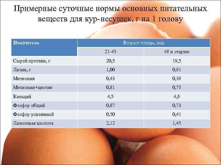 Примерные суточные нормы основных питательных веществ для кур-несушек, г на 1 голову Показатель Возраст