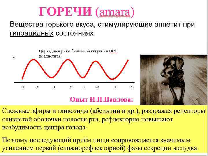    Механизм действия.  Горькие, жгучие вещества, эфирные масла, раздражают обонятельные и