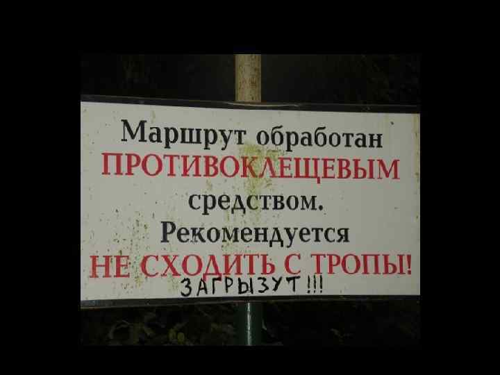      ИММУНИТЕТ • Наиболее восприимчивыми к болезни – взрослые животные
