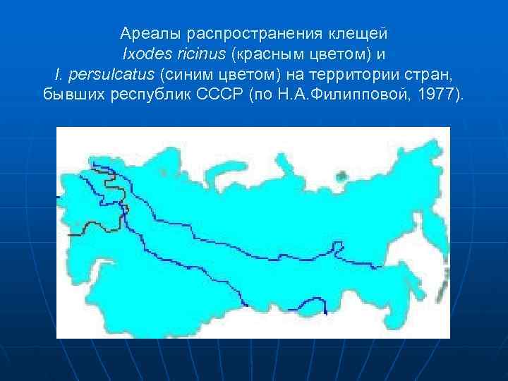 Гемоглобинурия  Норма  Гематурия 