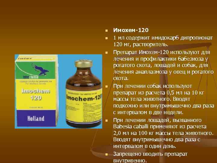 Благодарю за внимание! 