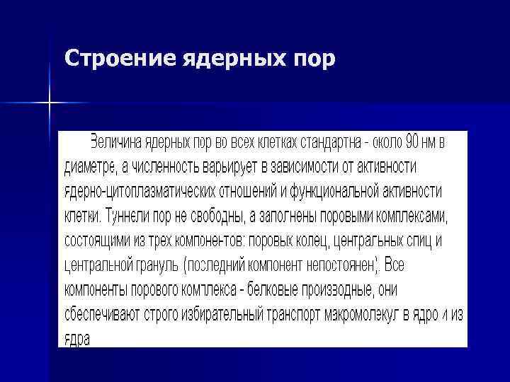 Строение ядерных пор 