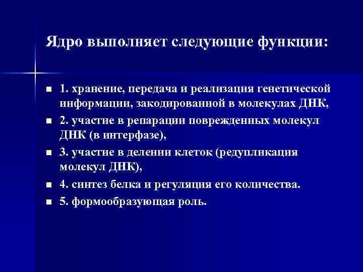 Ядро выполняет следующие функции: n 1. хранение, передача и реализация генетической информации, закодированной в