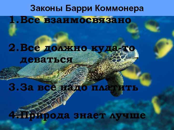   Законы Барри Коммонера 1. Все взаимосвязано 2. Все должно куда-то  деваться