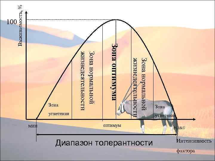 Зона оптимума. Зона оптимума и угнетения. Зона оптимума гибели. Зона толерантности зона оптимума зона угнетения.