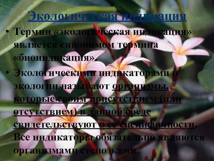   Экологическая индикация • Термин «экологическая индикация»  является синонимом термина  «биоиндикация»