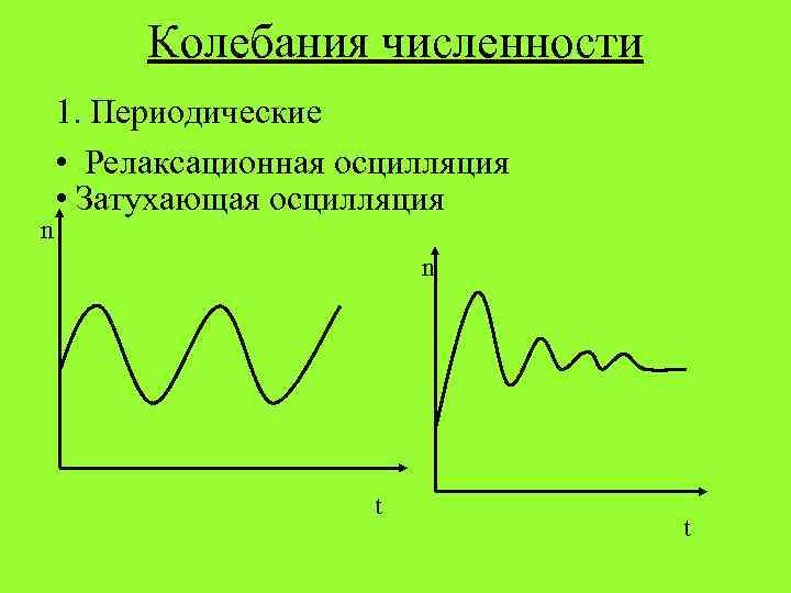 Количество колебаний. Колебания численности. Периодические колебания. Периодические колебания примеры. Периодические колебания численности.