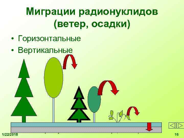 Пути миграции и накопление в биосфере токсичных и радиоактивных веществ схема