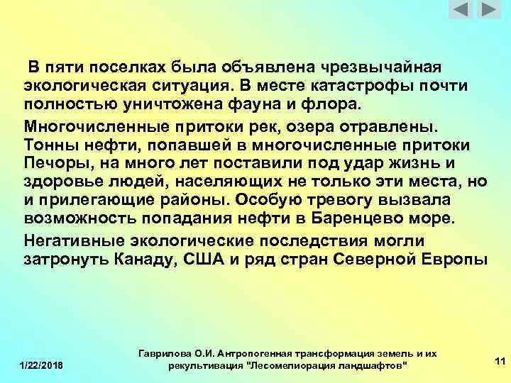  В пяти поселках была объявлена чрезвычайная экологическая ситуация. В месте катастрофы почти полностью