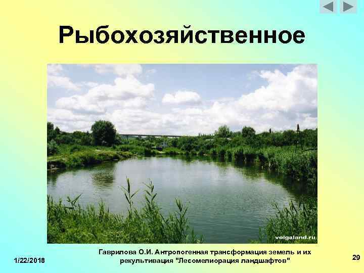  Рыбохозяйственное Гаврилова О. И. Антропогенная трансформация земель и их 1/22/2018 рекультивация 