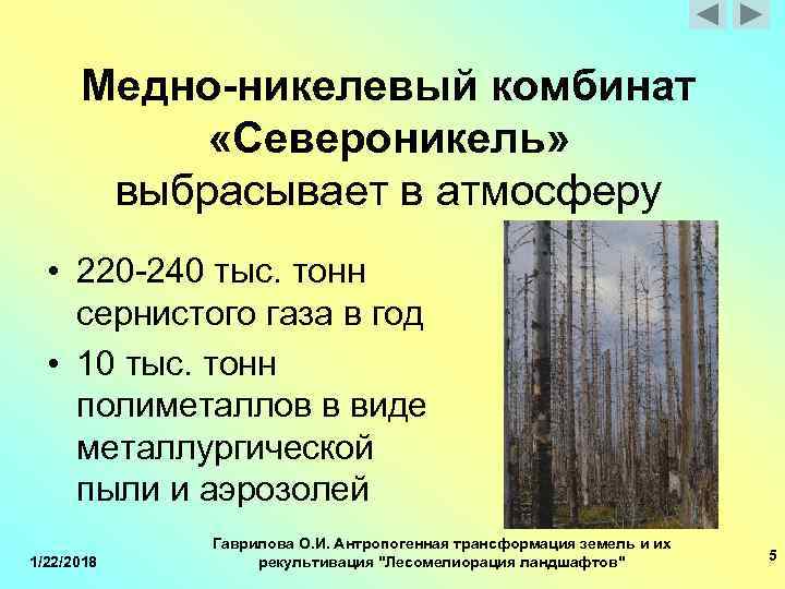  Медно-никелевый комбинат «Североникель» выбрасывает в атмосферу • 220 -240 тыс. тонн сернистого газа