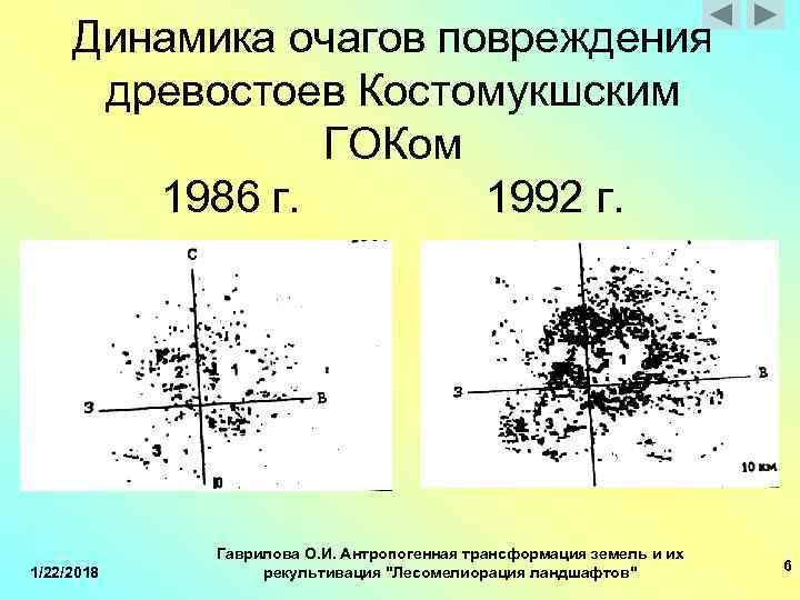  Динамика очагов повреждения древостоев Костомукшским ГОКом 1986 г. 1992 г. Гаврилова О. И.