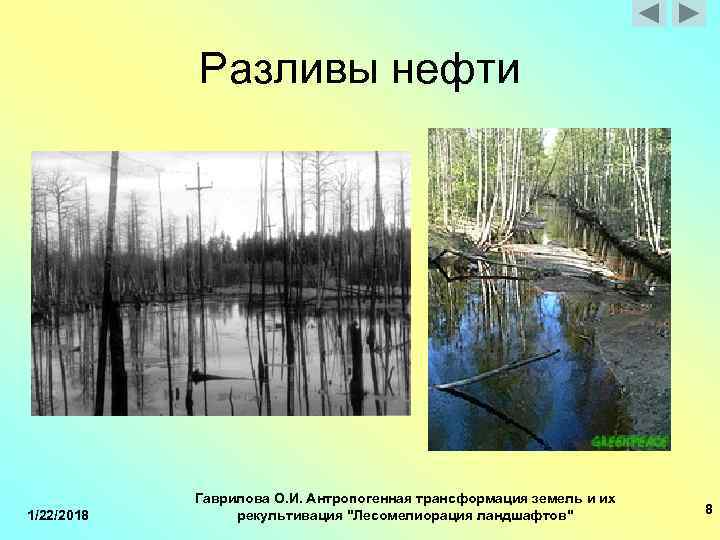  Разливы нефти Гаврилова О. И. Антропогенная трансформация земель и их 1/22/2018 рекультивация 