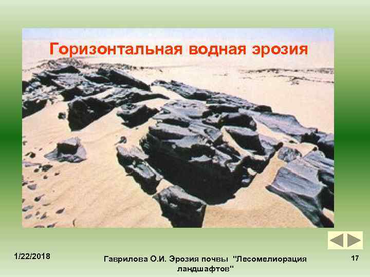   Горизонтальная водная эрозия 1/22/2018  Гаврилова О. И. Эрозия почвы 