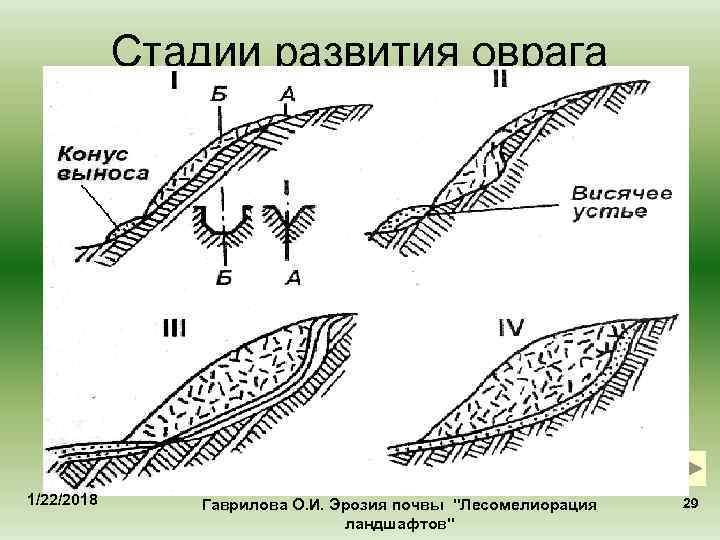 Из лесного оврага на дне которого бежал маленький родничок неслось воркованье диких голубей схема