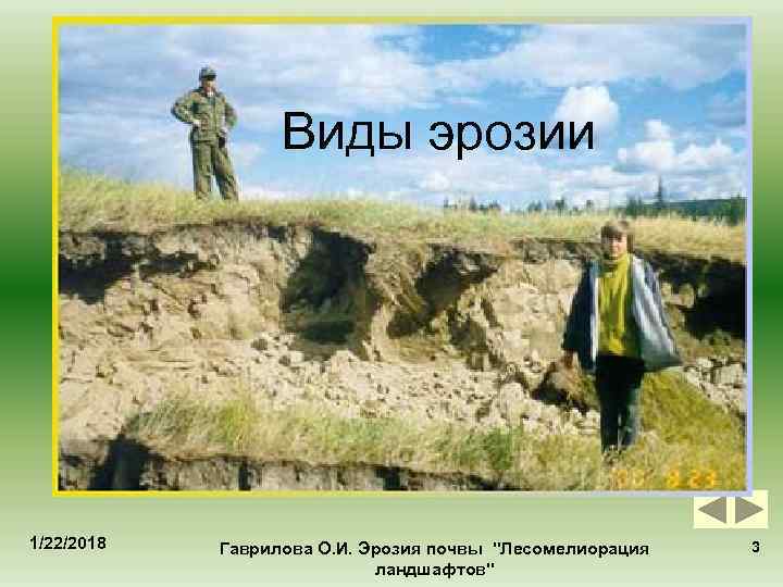    Виды эрозии 1/22/2018  Гаврилова О. И. Эрозия почвы 