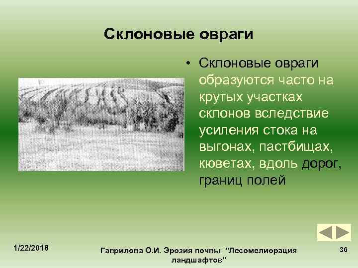   Склоновые овраги      • Склоновые овраги  