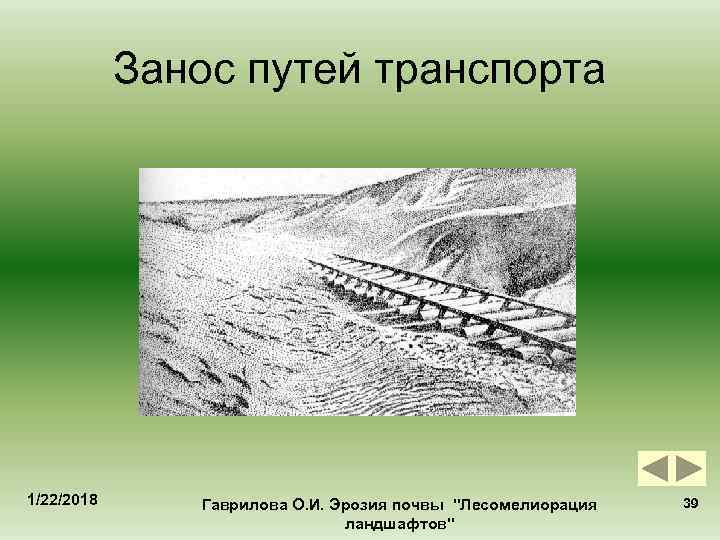   Занос путей транспорта 1/22/2018 Гаврилова О. И. Эрозия почвы 