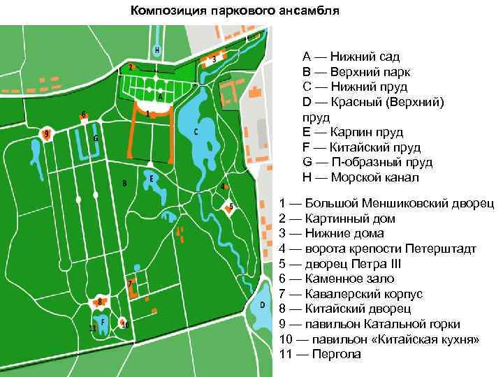 Композиция паркового ансамбля А — Нижний сад В — Верхний парк С — Нижний