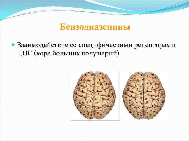    Бензодиазепины  Взаимодействие со специфическими рецепторами  ЦНС (кора больших полушарий)
