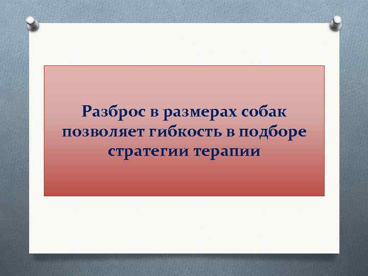  Разброс в размерах собак позволяет гибкость в подборе стратегии терапии 