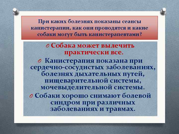  При каких болезнях показаны сеансы канистерапии, как они проводятся и какие собаки могут