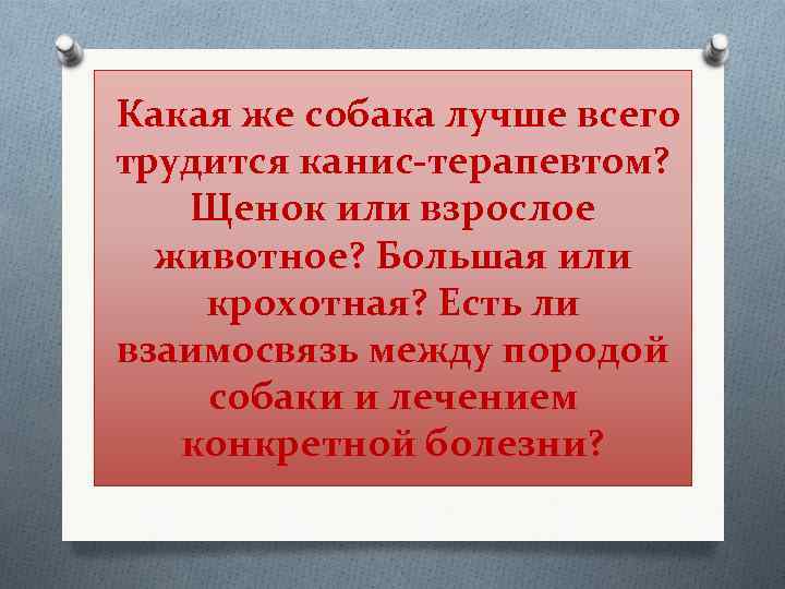 Какая же собака лучше всего трудится канис-терапевтом? Щенок или взрослое животное? Большая или крохотная?